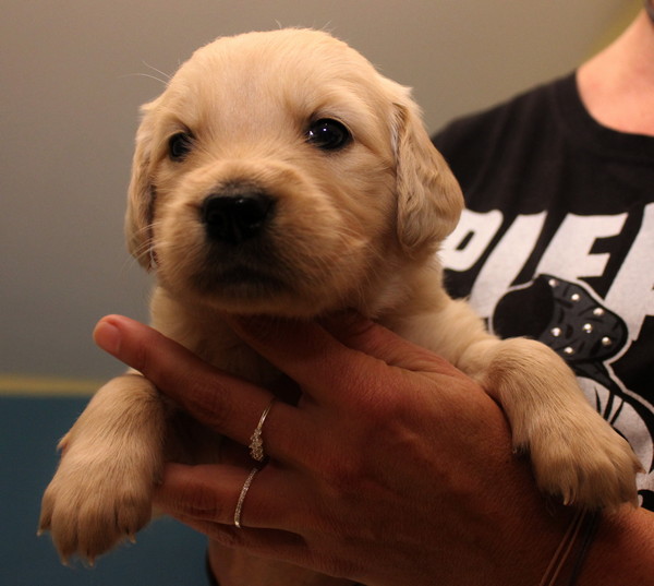 Mrs Black Wo 5_4.jpg